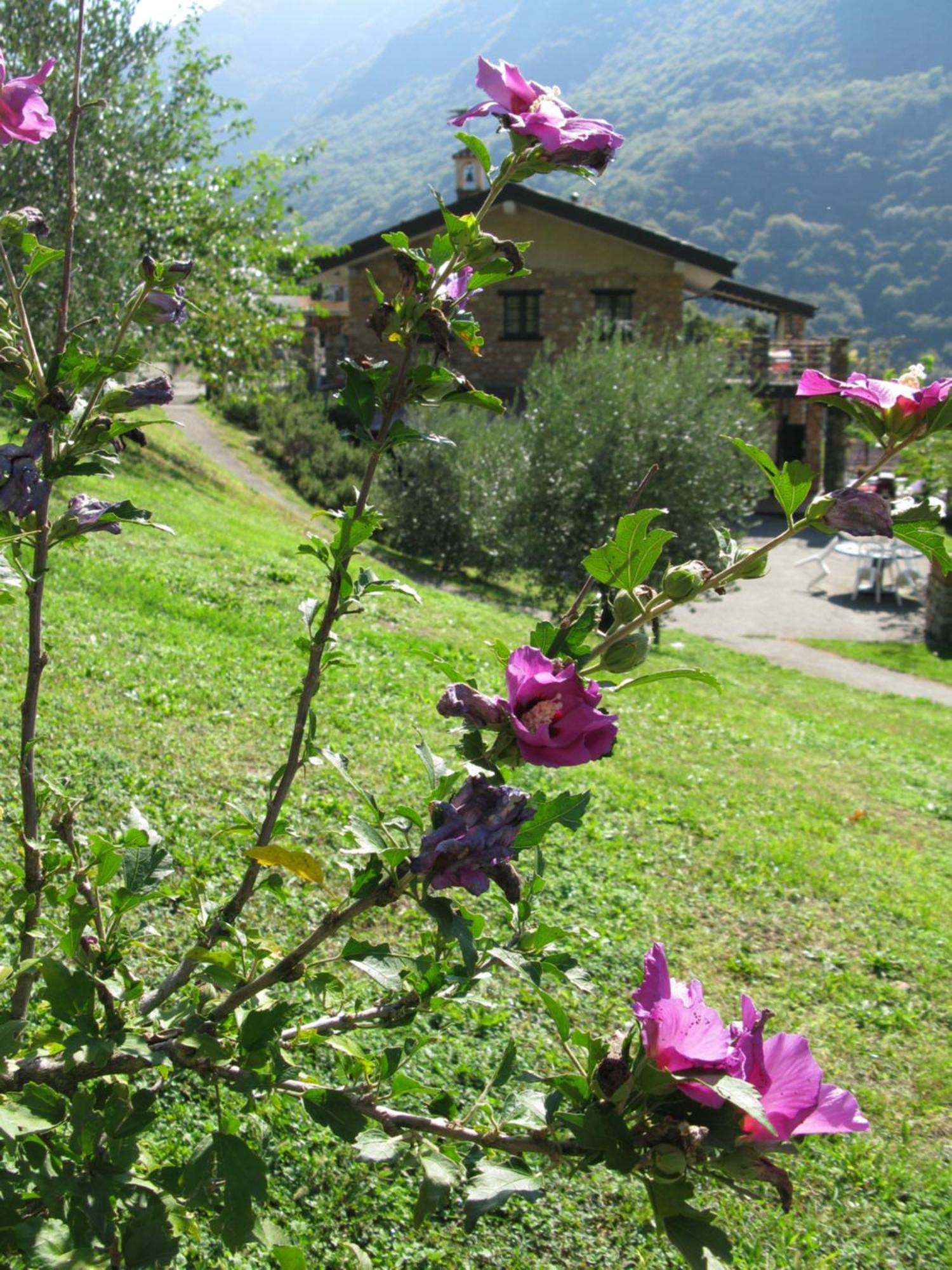 Chalet Della Rota 马罗内 外观 照片